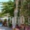 Twin House_best prices_in_Hotel_Piraeus Islands - Trizonia_Spetses_Spetses Chora