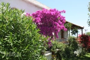 Holiday Home Aghia Triada_holidays_in_Hotel_Thessaly_Magnesia_Koropi
