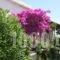 Holiday Home Aghia Triada_holidays_in_Hotel_Thessaly_Magnesia_Koropi