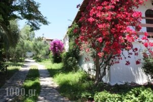 Holiday Home Aghia Triada_travel_packages_in_Thessaly_Magnesia_Koropi