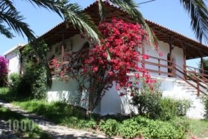 Holiday Home Aghia Triada_accommodation_in_Hotel_Thessaly_Magnesia_Koropi