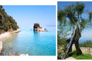 Thalia Estate_holidays_in_Hotel_Ionian Islands_Corfu_Corfu Rest Areas