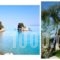 Thalia Estate_holidays_in_Hotel_Ionian Islands_Corfu_Corfu Rest Areas