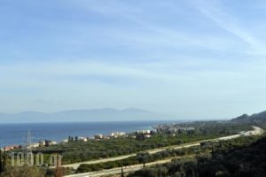 Evoikon_best prices_in_Hotel_Peloponesse_Korinthia_Evrostina