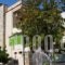 Iliotropio Studios_best prices_in_Hotel_Central Greece_Evia_Edipsos