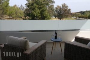 Sea Queen Villa_lowest prices_in_Villa_Crete_Chania_Galatas