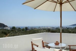 Faneromeni Apartments & Rooms_travel_packages_in_Cyclades Islands_Sifnos_Sifnos Chora