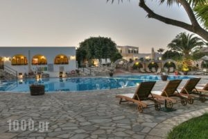 Asteras Paradise_holidays_in_Hotel_Cyclades Islands_Paros_Paros Chora