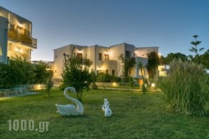 Asteras Paradise_best prices_in_Hotel_Cyclades Islands_Paros_Paros Chora