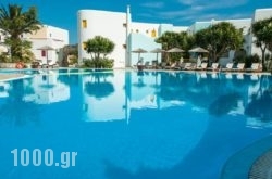 Asteras Paradise in Paros Chora, Paros, Cyclades Islands