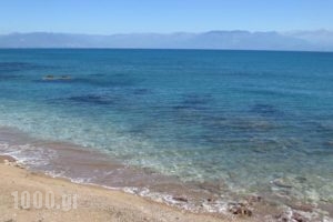 Red Rock Villas_travel_packages_in_Thessaly_Magnesia_Pilio Area