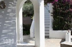 Studio Calypso in Paros Chora, Paros, Cyclades Islands