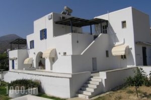 Studio Calypso_best prices_in_Hotel_Cyclades Islands_Paros_Paros Chora