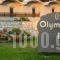 Olympian Bay_holidays_in_Hotel_Thessaly_Larisa_Ambelakia