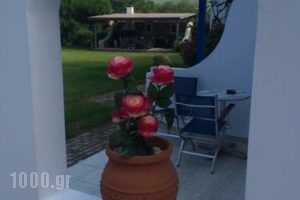 Saltriver rooms_best prices_in_Room_Central Greece_Attica_Rafina