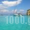 Polixeni Apartments_best deals_Apartment_Ionian Islands_Paxi_Paxi Chora