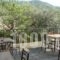 Guesthouse Arsenis_holidays_in_Hotel_Thessaly_Trikala_Kalambaki