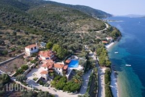 Muses Villas_holidays_in_Villa_Sporades Islands_Skopelos_Skopelos Chora