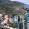 Muses Villas_holidays_in_Villa_Sporades Islands_Skopelos_Skopelos Chora
