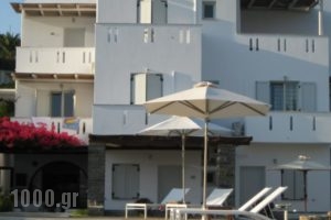 Roses Beach Hotel_best prices_in_Hotel_Cyclades Islands_Paros_Paros Chora