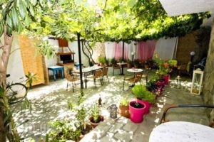 Studios Lampiris_accommodation_in_Hotel_Aegean Islands_Thasos_Potos