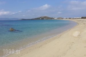 Margaret of Naxos_holidays_in_Hotel_Cyclades Islands_Naxos_Naxos Chora
