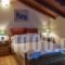 Alexaria Holidays Apartments_best deals_Apartment_Ionian Islands_Lefkada_Karia