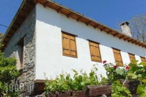 Archontiko Nanou_accommodation_in_Hotel_Thessaly_Magnesia_Makrinitsa