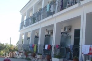 Fotini Studios_accommodation_in_Hotel_Ionian Islands_Corfu_Palaeokastritsa