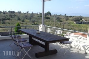 Aegina Bed & Culture_accommodation_in_Hotel_Piraeus Islands - Trizonia_Methana_Methana Chora
