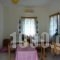 Taygetos Apartments_best deals_Apartment_Thessaly_Magnesia_Pilio Area