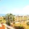 Sofoklis Apts_holidays_in_Hotel_Crete_Chania_Platanias