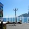 ApartHotel Papafotis_accommodation_in_Hotel_Dodekanessos Islands_Leros_Alinda