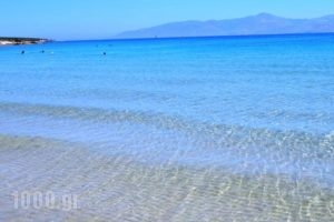 White Dunes Luxury Boutique Hotel_holidays_in_Hotel_Cyclades Islands_Paros_Paros Chora