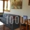 Zisis Garden Studios_best deals_Hotel_Epirus_Ioannina_Ioannina City