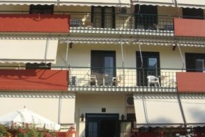 Edipsos Studios_accommodation_in_Hotel_Central Greece_Evia_Edipsos