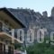 Guesthouse Papastathis_best prices_in_Hotel_Thessaly_Trikala_KaLamiaki