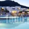 Hotel Mediterranean_accommodation_in_Hotel_Cyclades Islands_Paros_Paros Chora