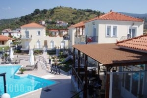 Nautilus Apartments_accommodation_in_Apartment_Aegean Islands_Lesvos_Kalloni