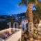 Old Vourvoulos Houses_lowest prices_in_Hotel_Cyclades Islands_Sandorini_Sandorini Chora