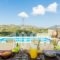 Villas Renta_lowest prices_in_Villa_Crete_Rethymnon_Mylopotamos