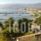 Astros Apartment_best deals_Apartment_Peloponesse_Arcadia_Paralio of Astros