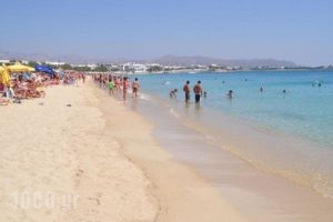 Margaret of Naxos_best deals_Hotel_Cyclades Islands_Naxos_Naxos Chora