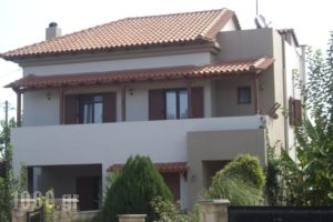 Villa Camellia_accommodation_in_Villa_Crete_Chania_Sfakia
