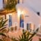 Capricorns Studios_lowest prices_in_Hotel_Cyclades Islands_Paros_Paros Chora