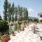 Hotel Pela_best prices_in_Hotel_Aegean Islands_Lesvos_Kalloni