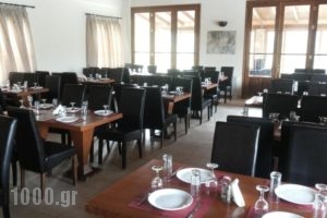 Apollonion Hotel_best deals_Hotel_Peloponesse_Ilia_Andritsena