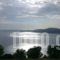 Kripis Studio Paliouri_accommodation_in_Hotel_Macedonia_Halkidiki_Kassandreia