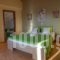 Villa Nikoleta_best prices_in_Villa_Ionian Islands_Lefkada_Lefkada Rest Areas