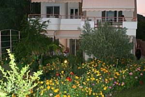 Over Sea Room & Villas_travel_packages_in_Central Greece_Evia_Edipsos